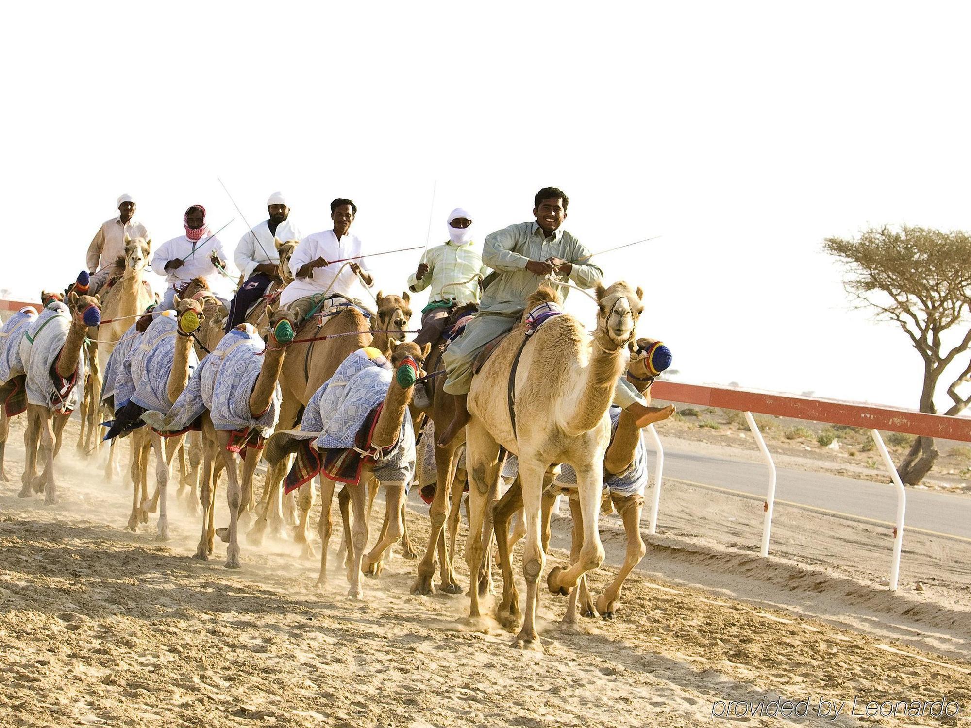 Oryx Grand Jebel Hafeet Al Ain
